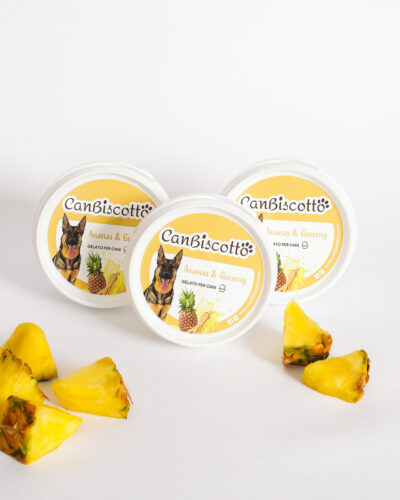 Gelato per cani gusto Ananas e Ginseng - 3x40 g