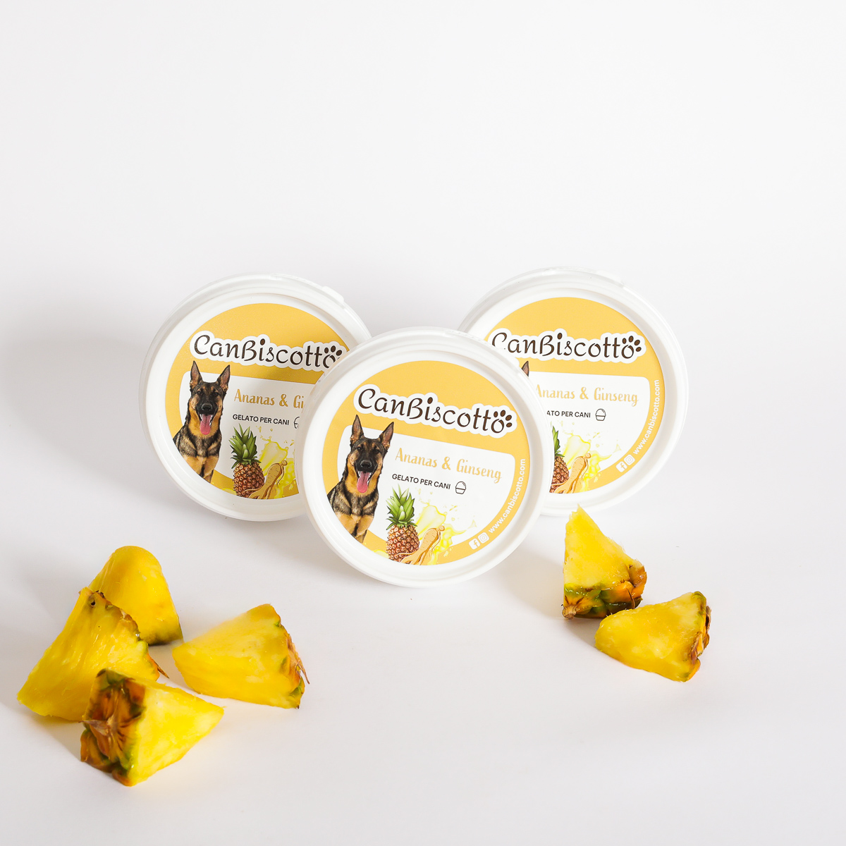 Gelato per cani gusto Ananas e Ginseng - 3x40 g